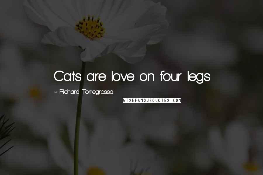 Richard Torregrossa Quotes: Cats are love on four legs
