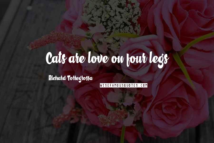 Richard Torregrossa Quotes: Cats are love on four legs