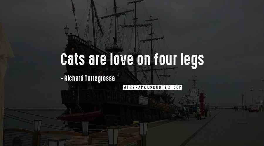 Richard Torregrossa Quotes: Cats are love on four legs