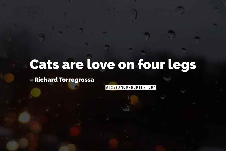 Richard Torregrossa Quotes: Cats are love on four legs