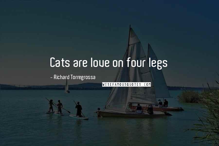 Richard Torregrossa Quotes: Cats are love on four legs