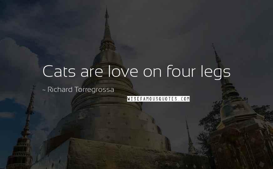Richard Torregrossa Quotes: Cats are love on four legs