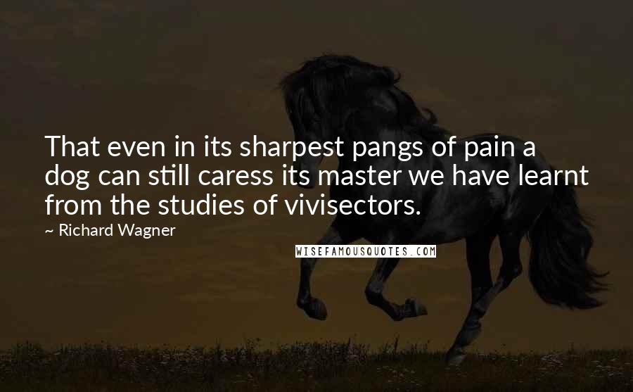Richard Wagner Quotes: That even in its sharpest pangs of pain a dog can still caress its master we have learnt from the studies of vivisectors.