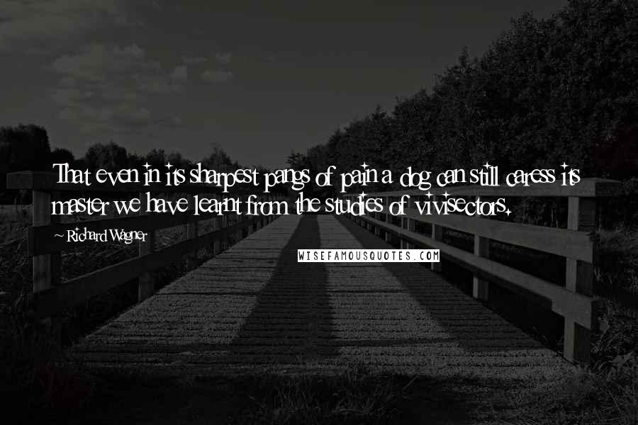 Richard Wagner Quotes: That even in its sharpest pangs of pain a dog can still caress its master we have learnt from the studies of vivisectors.