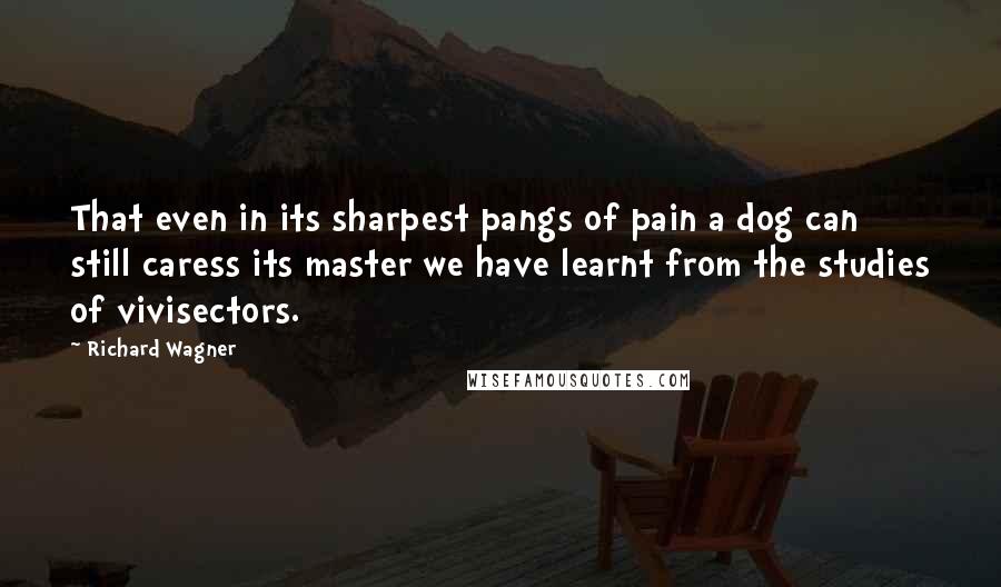 Richard Wagner Quotes: That even in its sharpest pangs of pain a dog can still caress its master we have learnt from the studies of vivisectors.