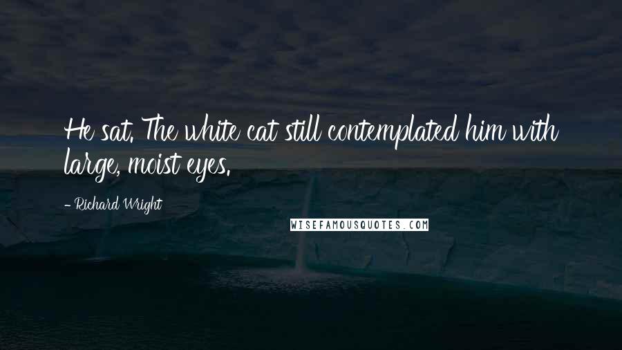 Richard Wright Quotes: He sat. The white cat still contemplated him with large, moist eyes.
