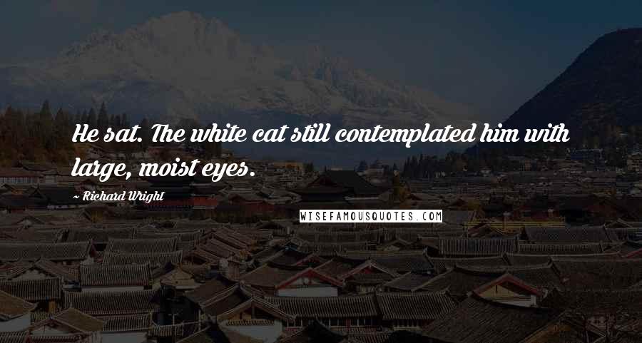 Richard Wright Quotes: He sat. The white cat still contemplated him with large, moist eyes.