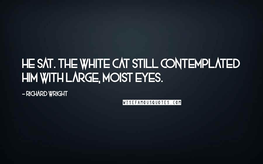 Richard Wright Quotes: He sat. The white cat still contemplated him with large, moist eyes.