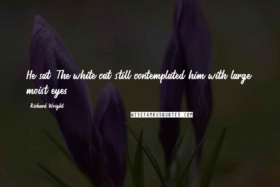 Richard Wright Quotes: He sat. The white cat still contemplated him with large, moist eyes.