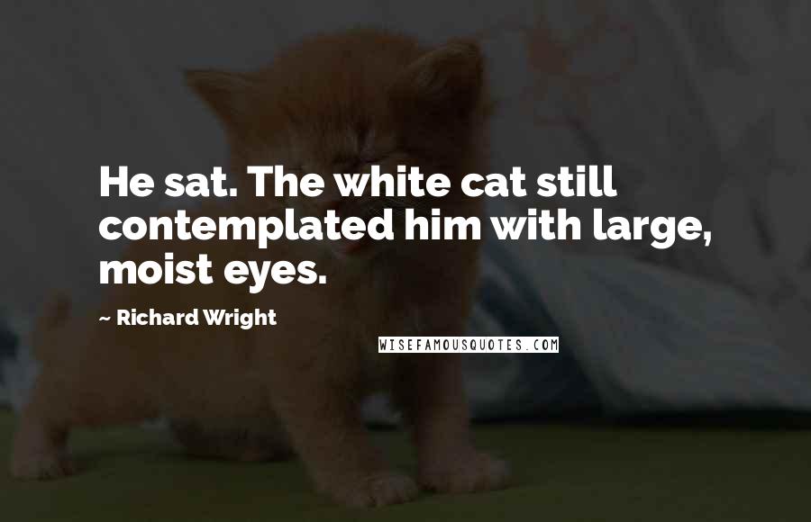Richard Wright Quotes: He sat. The white cat still contemplated him with large, moist eyes.