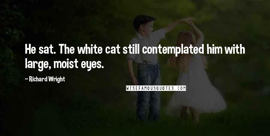 Richard Wright Quotes: He sat. The white cat still contemplated him with large, moist eyes.