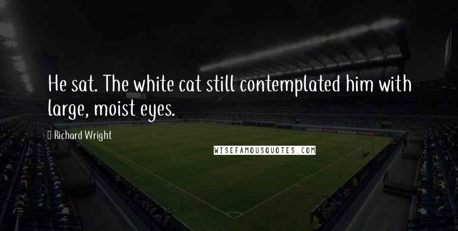Richard Wright Quotes: He sat. The white cat still contemplated him with large, moist eyes.