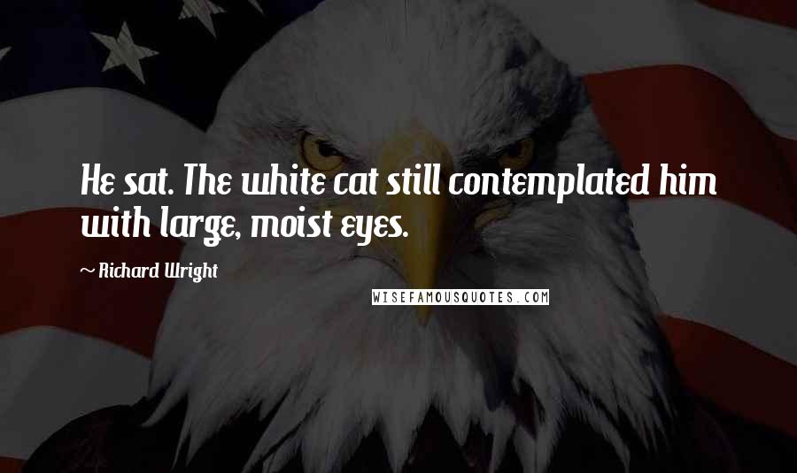 Richard Wright Quotes: He sat. The white cat still contemplated him with large, moist eyes.