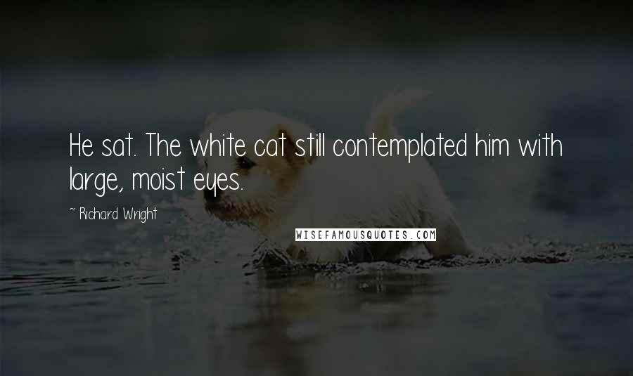 Richard Wright Quotes: He sat. The white cat still contemplated him with large, moist eyes.