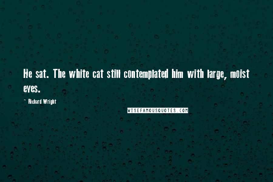 Richard Wright Quotes: He sat. The white cat still contemplated him with large, moist eyes.