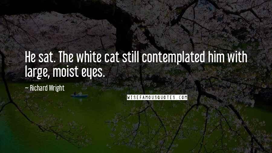 Richard Wright Quotes: He sat. The white cat still contemplated him with large, moist eyes.