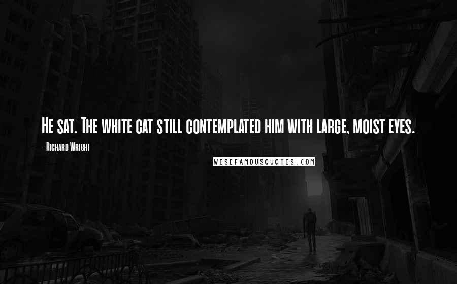 Richard Wright Quotes: He sat. The white cat still contemplated him with large, moist eyes.
