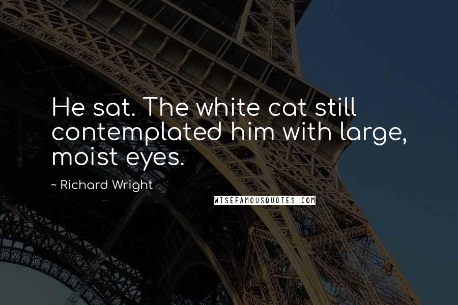 Richard Wright Quotes: He sat. The white cat still contemplated him with large, moist eyes.