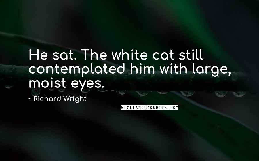 Richard Wright Quotes: He sat. The white cat still contemplated him with large, moist eyes.