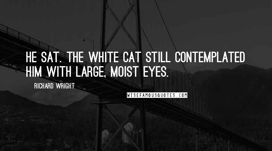 Richard Wright Quotes: He sat. The white cat still contemplated him with large, moist eyes.