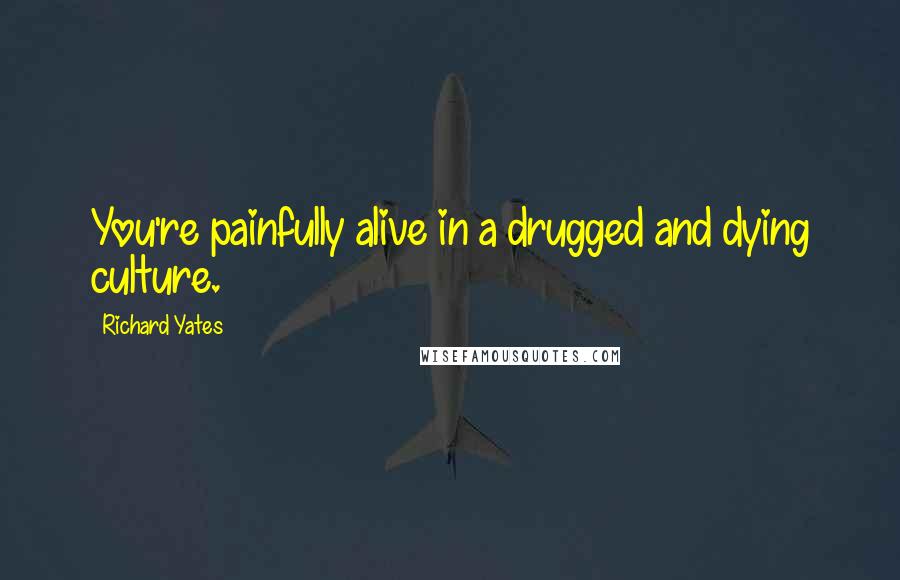 Richard Yates Quotes: You're painfully alive in a drugged and dying culture.