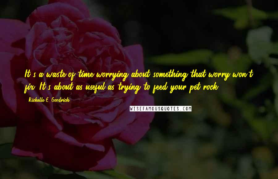 Richelle E. Goodrich Quotes: It's a waste of time worrying about something that worry won't fix. It's about as useful as trying to feed your pet rock.