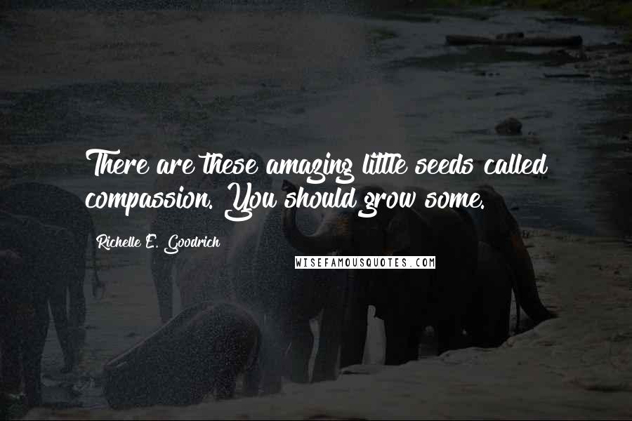 Richelle E. Goodrich Quotes: There are these amazing little seeds called compassion. You should grow some.