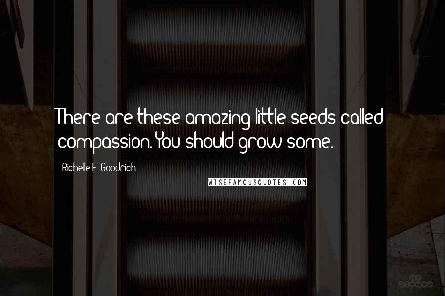 Richelle E. Goodrich Quotes: There are these amazing little seeds called compassion. You should grow some.