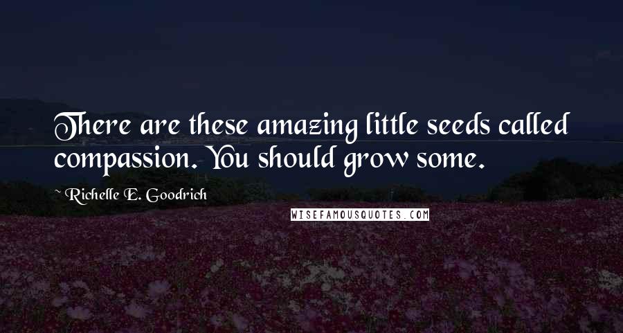 Richelle E. Goodrich Quotes: There are these amazing little seeds called compassion. You should grow some.