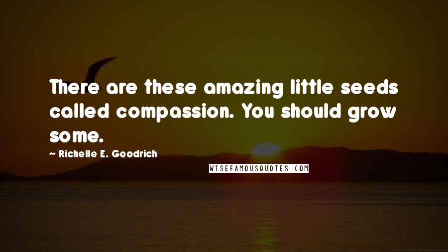 Richelle E. Goodrich Quotes: There are these amazing little seeds called compassion. You should grow some.