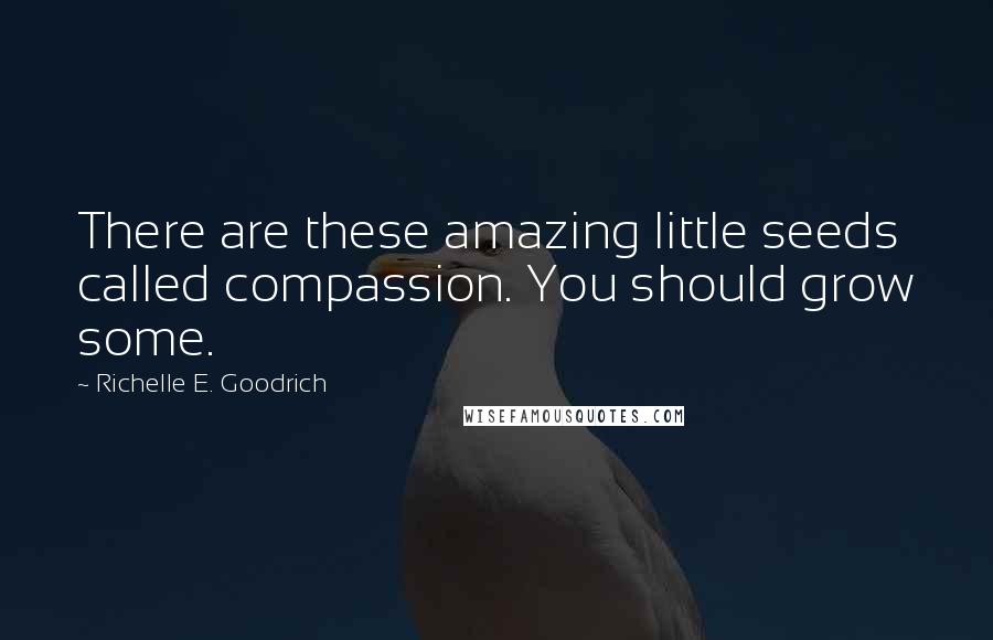 Richelle E. Goodrich Quotes: There are these amazing little seeds called compassion. You should grow some.
