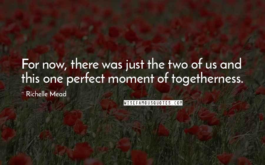 Richelle Mead Quotes: For now, there was just the two of us and this one perfect moment of togetherness.