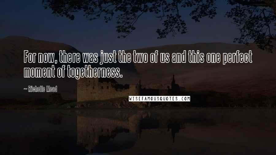 Richelle Mead Quotes: For now, there was just the two of us and this one perfect moment of togetherness.