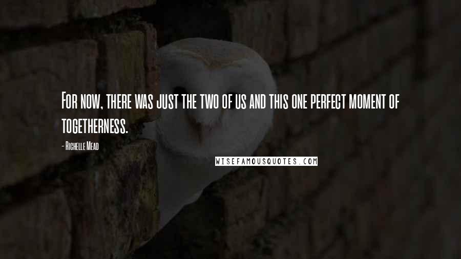 Richelle Mead Quotes: For now, there was just the two of us and this one perfect moment of togetherness.