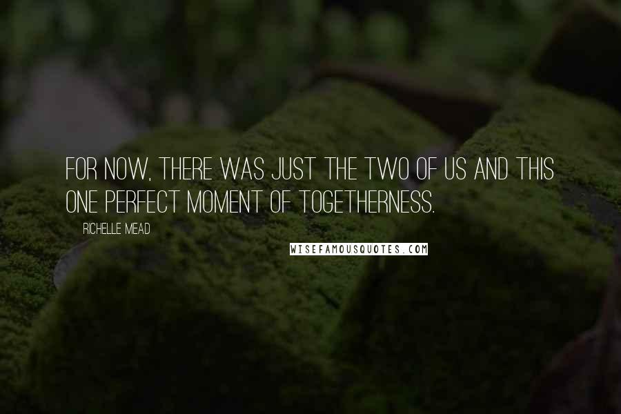 Richelle Mead Quotes: For now, there was just the two of us and this one perfect moment of togetherness.