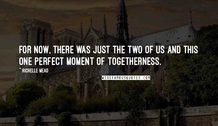 Richelle Mead Quotes: For now, there was just the two of us and this one perfect moment of togetherness.