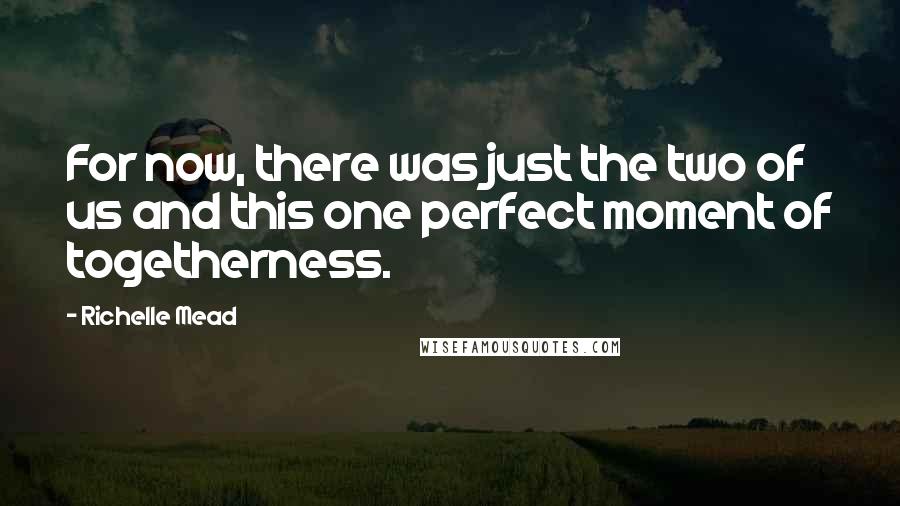 Richelle Mead Quotes: For now, there was just the two of us and this one perfect moment of togetherness.