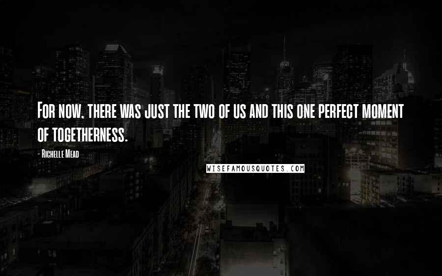 Richelle Mead Quotes: For now, there was just the two of us and this one perfect moment of togetherness.