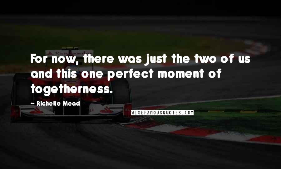 Richelle Mead Quotes: For now, there was just the two of us and this one perfect moment of togetherness.