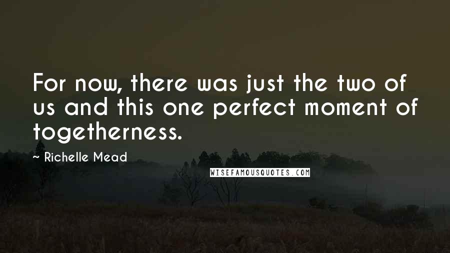 Richelle Mead Quotes: For now, there was just the two of us and this one perfect moment of togetherness.