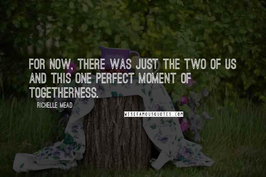 Richelle Mead Quotes: For now, there was just the two of us and this one perfect moment of togetherness.