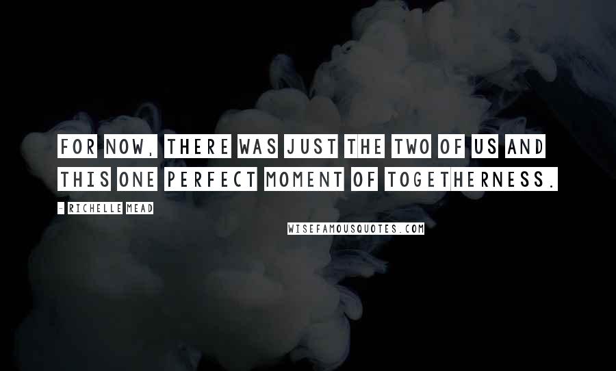 Richelle Mead Quotes: For now, there was just the two of us and this one perfect moment of togetherness.