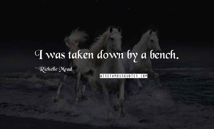 Richelle Mead Quotes: I was taken down by a bench.