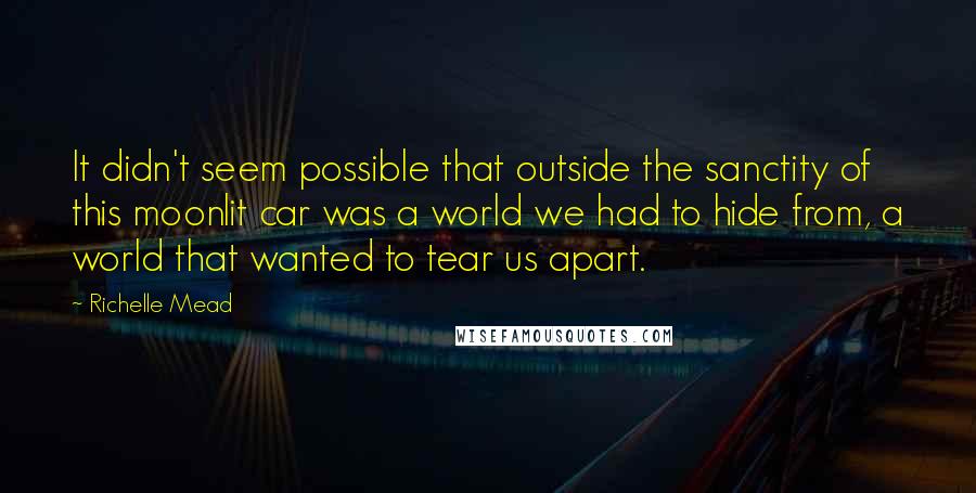 Richelle Mead Quotes: It didn't seem possible that outside the sanctity of this moonlit car was a world we had to hide from, a world that wanted to tear us apart.