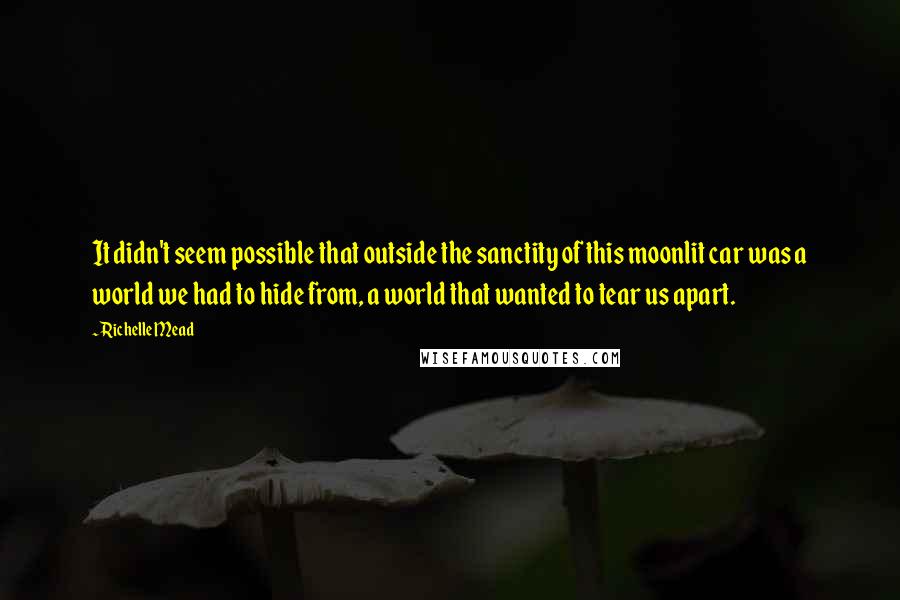 Richelle Mead Quotes: It didn't seem possible that outside the sanctity of this moonlit car was a world we had to hide from, a world that wanted to tear us apart.