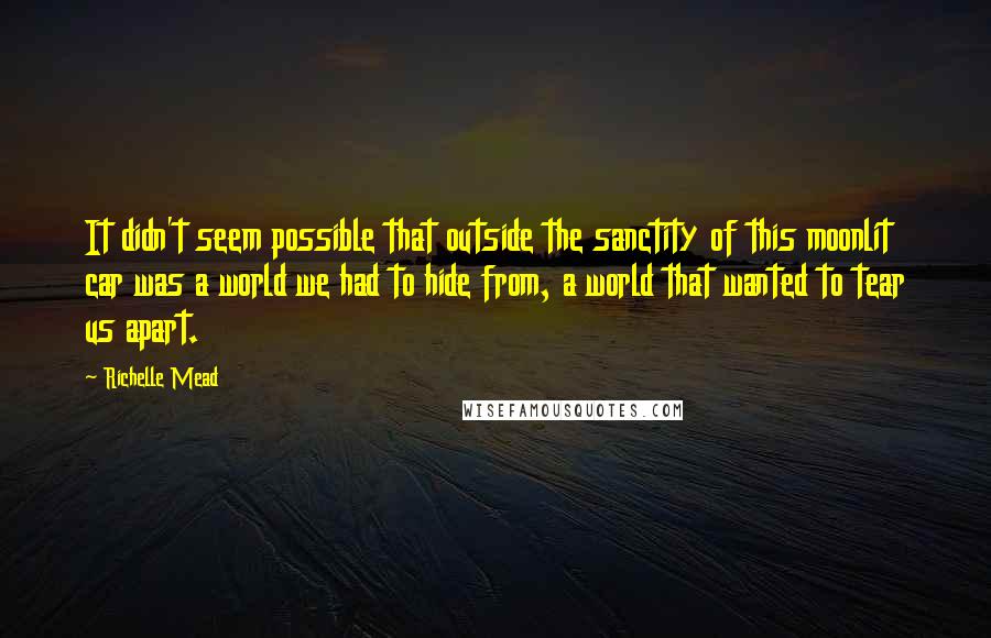 Richelle Mead Quotes: It didn't seem possible that outside the sanctity of this moonlit car was a world we had to hide from, a world that wanted to tear us apart.