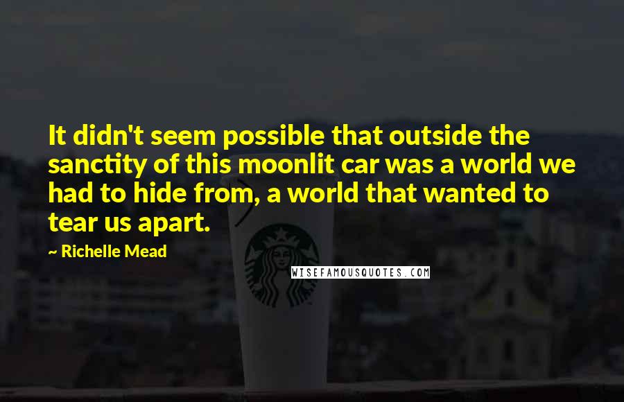 Richelle Mead Quotes: It didn't seem possible that outside the sanctity of this moonlit car was a world we had to hide from, a world that wanted to tear us apart.