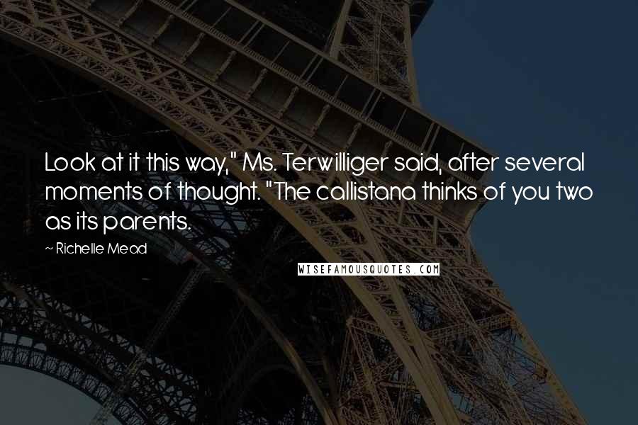 Richelle Mead Quotes: Look at it this way," Ms. Terwilliger said, after several moments of thought. "The callistana thinks of you two as its parents.