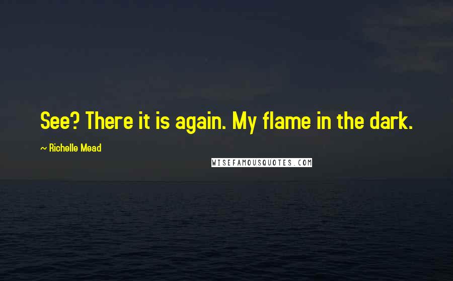 Richelle Mead Quotes: See? There it is again. My flame in the dark.