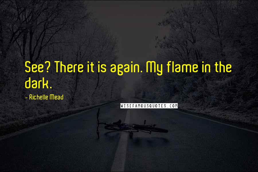 Richelle Mead Quotes: See? There it is again. My flame in the dark.